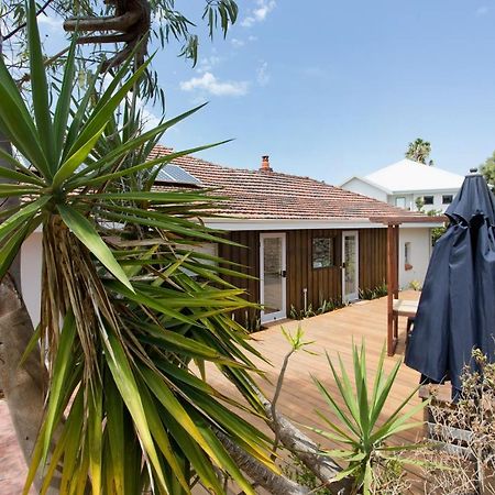 Dingo At White Gum Lodge Fremantle Extérieur photo